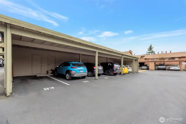 Covered parking space with a storage closet in front