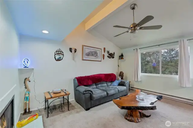 and Vaulted Ceilings