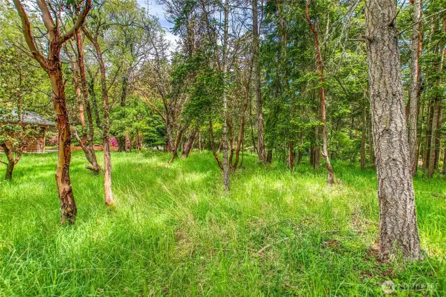 Adjacent lot 34 MLS#2366217 28K reduction when purchased together!