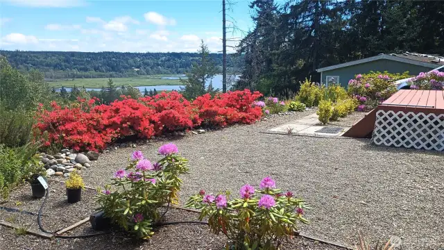 Looking out at the expansive view over the calm waters at the tip of Hood Canal, where gentle ripples lead the eye toward forested hills and a wide, open sky.