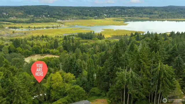 Ideal location for outdoor lovers: you have private access to Beard’s Cove waterfront park, and  you're close to Belfair State Park... enjoy the tide flats, beaches, wetland trails, and other recreation opportunites galore!