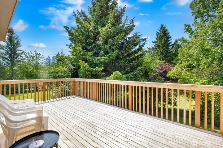 Deck off of Kitchen and Great Room area - recently repaired and stained!
