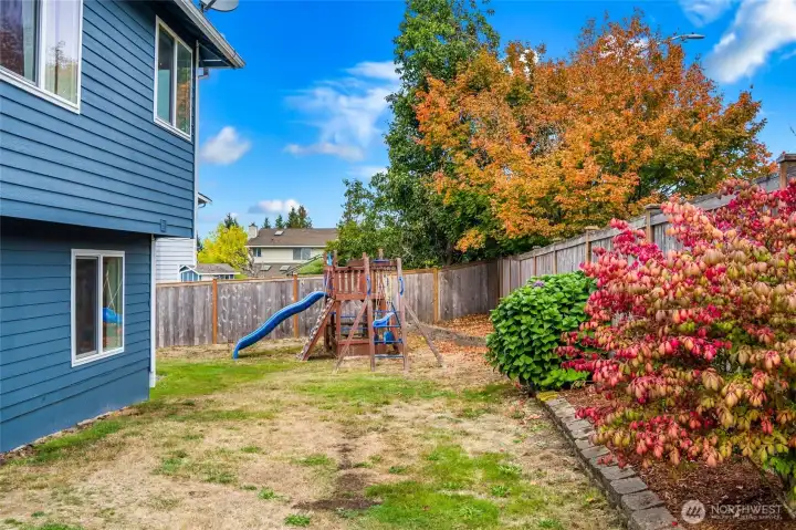 Backyard - View 1