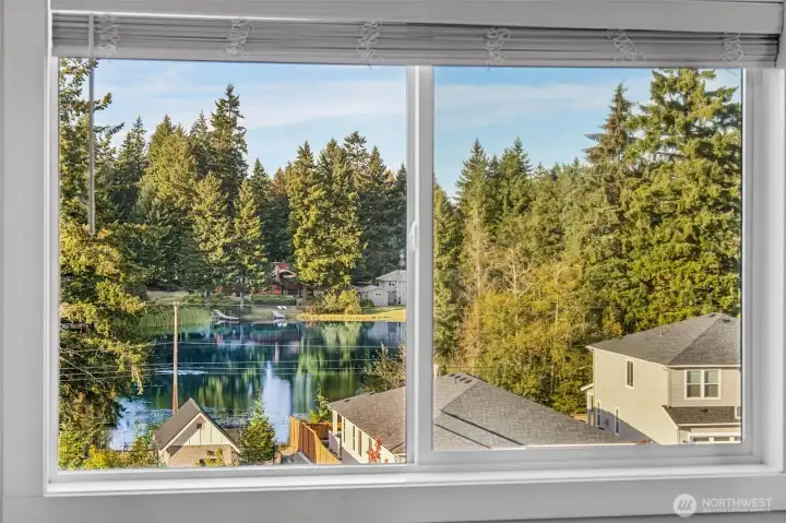 Pond View