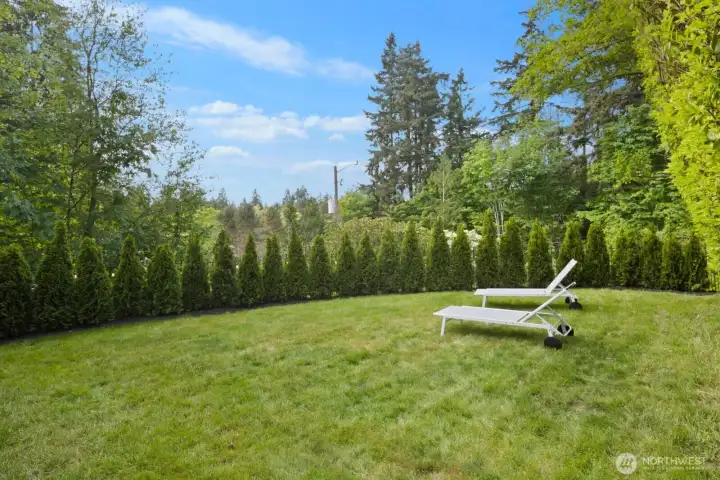 Front yard