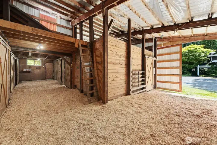 Main barn entrance with shavings. 6 stall turn out