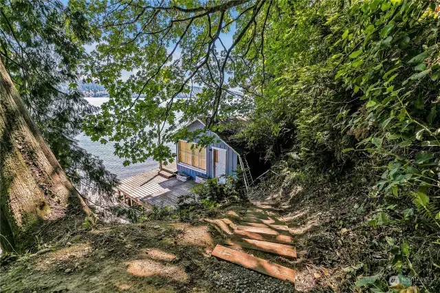 Trail to stairs accessing the rustic beach cabin