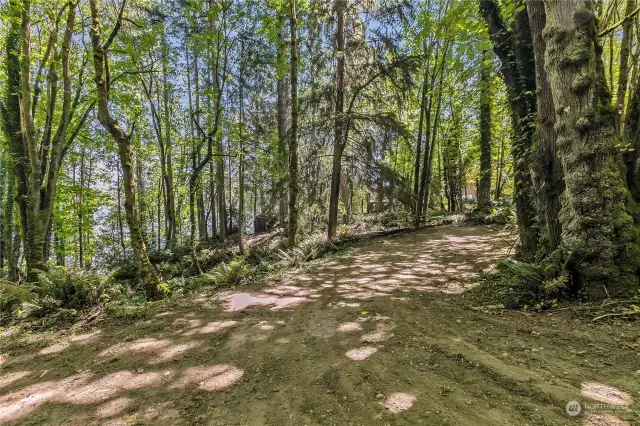 Driveway entry to peaceful and secluded setting