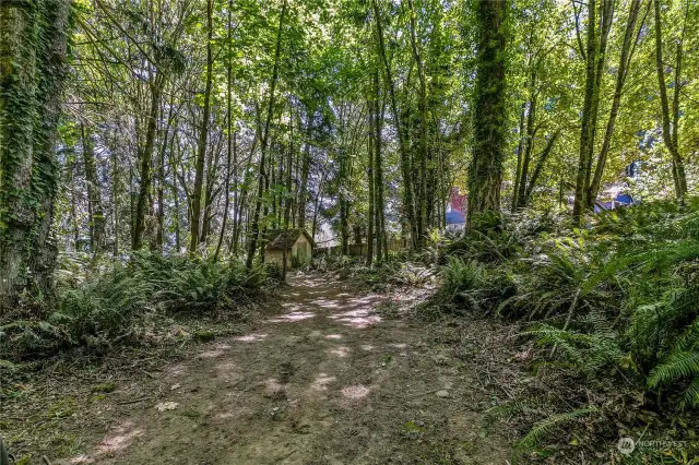 Driveway towards building pad and trail head to no bank waterfront