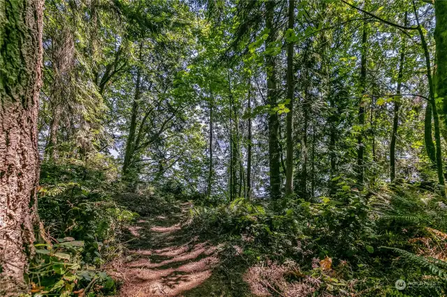 Trail head entrance - use with caution