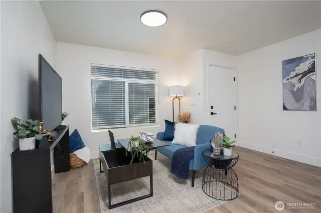 Downstairs living room