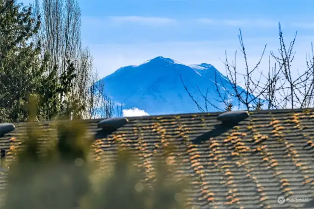 View from upstairs bedroom window