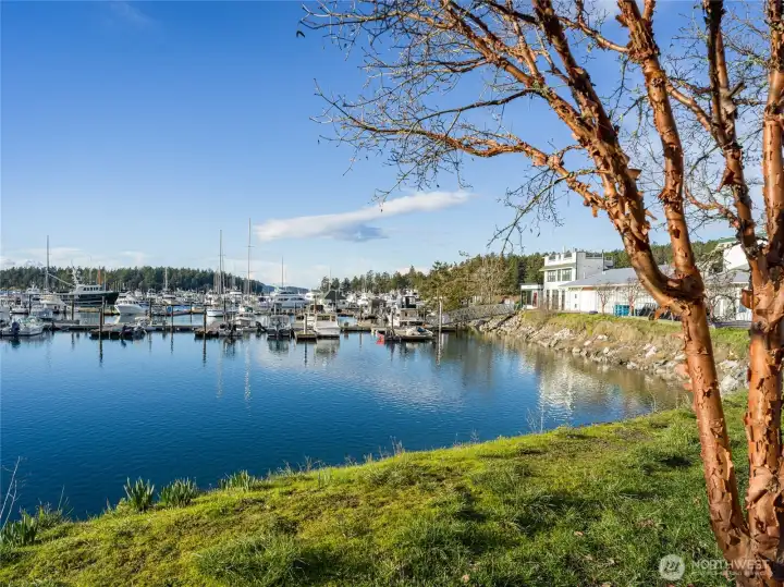 Roche Harbor Marina and Resort
