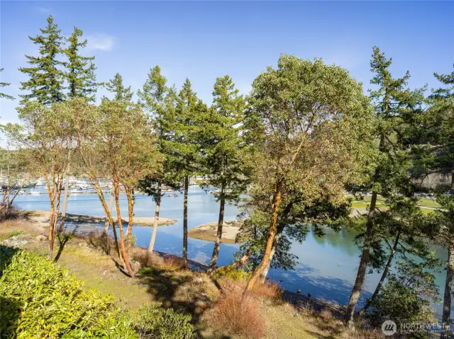 View from unit to Roche Harbor Bay and Lagoon