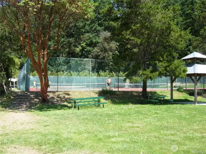 Tennis and pickleball courts (only if you are in rental pool)