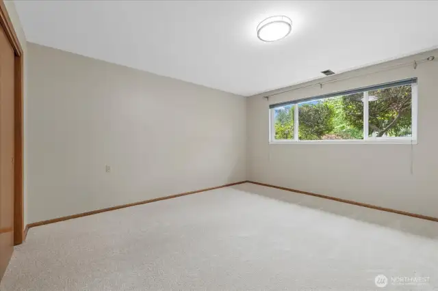 Second Lower Level Bedroom