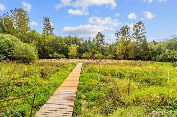 Community wetlands