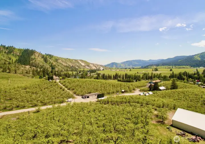 looking over lot 40 lot 41  vicinity SE showing great topography and view from this prior photo right before orchard was removed