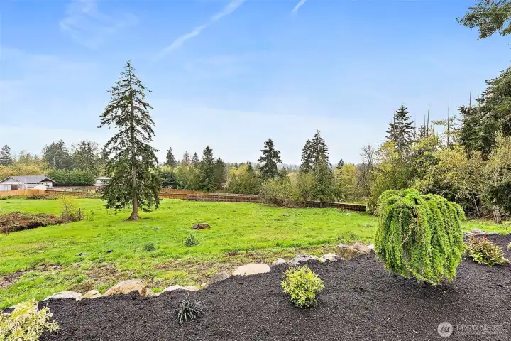 View to the sweeping back yard of this 1.24 acre property.  Seller owns the to the north of this parcel as well (not pictured).