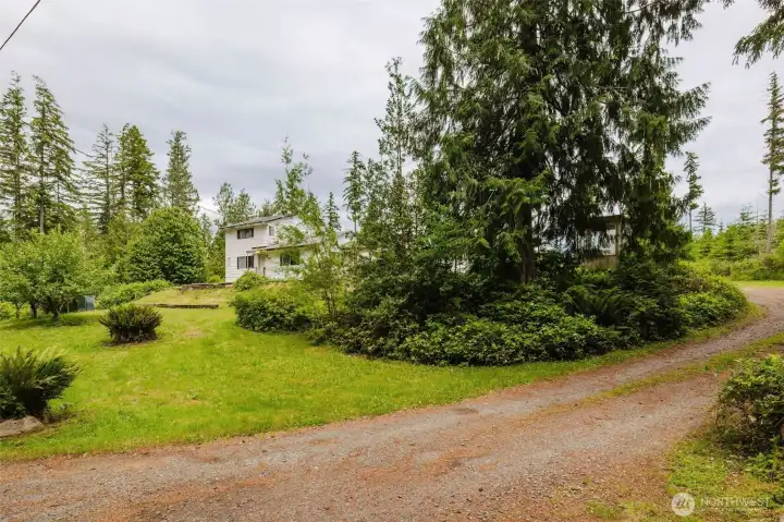 Perfect Pacific Northwest setting! Backing to thousands of acres of DNR and watershed land, this property offers unparalleled privacy and direct access to nature. Enjoy endless opportunities for hiking, wildlife viewing, and outdoor recreation right from your doorstep. Wildcat Lake is just across the street, with the boat launch and county park conveniently located down the road. An exceptional location to enjoy the beauty and lifestyle of the Pacific Northwest. Perfect Pacific Northwest setting! Backing to thousands of acres of DNR and watershed land, this property offers unparalleled privacy and direct access to nature. Enjoy endless opportunities for hiking, wildlife viewing, and outdoor recreation right from your doorstep. Wildcat Lake is just across the street, with the boat launch and county park conveniently located down the road. An exceptional location to enjoy the beauty and lifestyle of the Pacific Northwest.