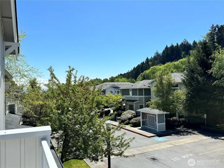 Another view from the deck shows the abundance of trees and blue sky!