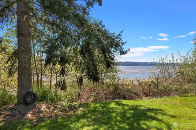 Views into Drayton Harbor from front yard and porch