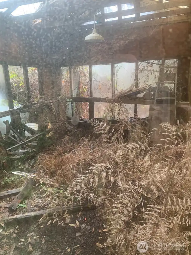 Old greenhouse could use some TLC.