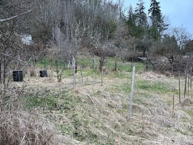 Garden area