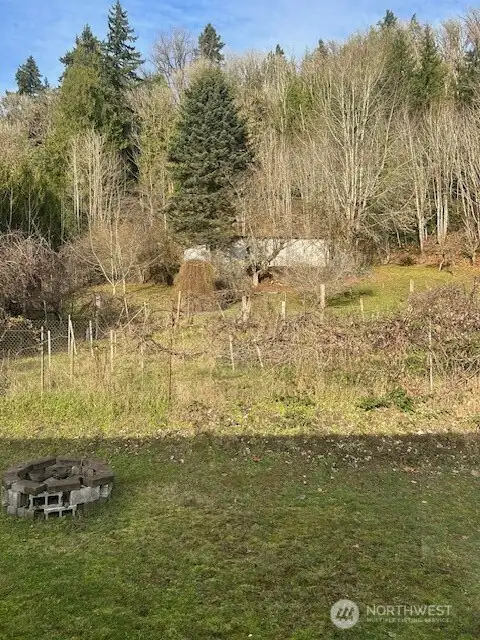view out kitchen window