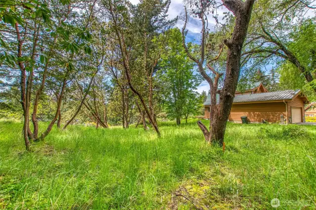 A 28K reduction of this property with the purchase of 1100 Rosario MLS#2366215