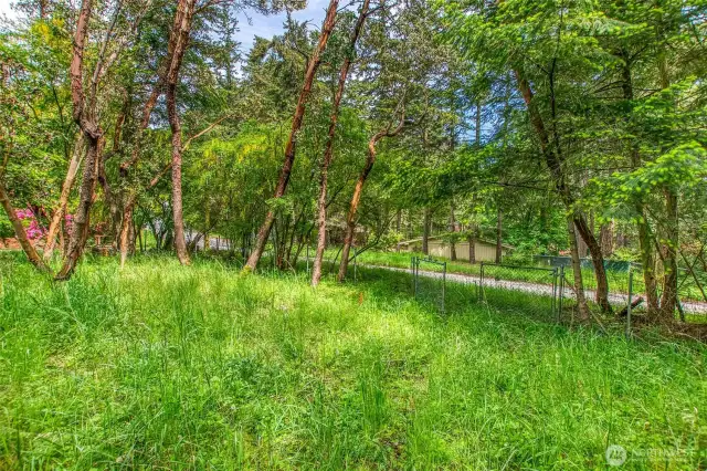 Entry gate from the main road. A grove of the coveted Madrona trees.