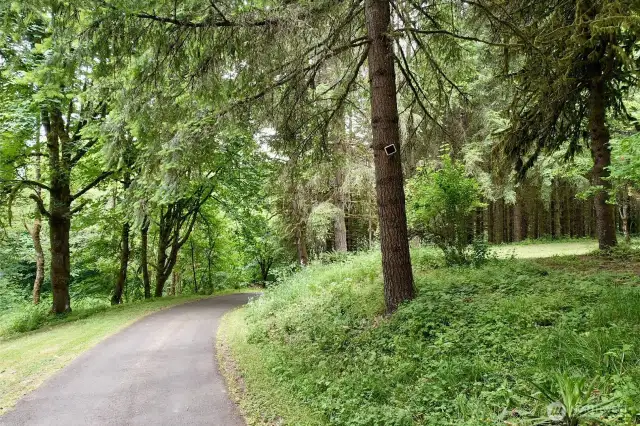 Driveway begins at the dead end road. Welcoming approach as you pass the barn and established fruit trees. Plenty of space on the 40 acres. Great access to your beautiful woodland retreat.