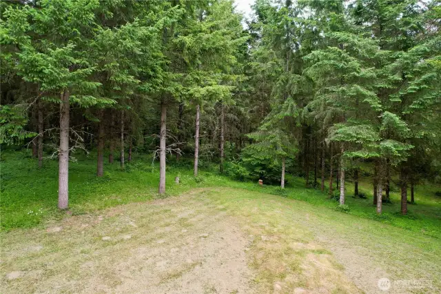 Lawn areas surround the one level home at 818 NW 349th St, La Center WA in Clark County. 40 acres PNW property with creek access and currently in a timber management plan.