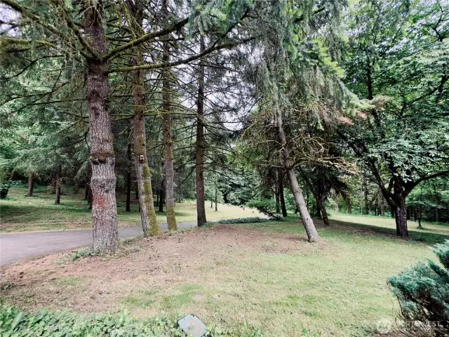 Lawn areas surround the single level home at 818 NW 349th St, La Center WA in Clark County. Private individual well on property and current septic is rated for a 4 bedroom home.