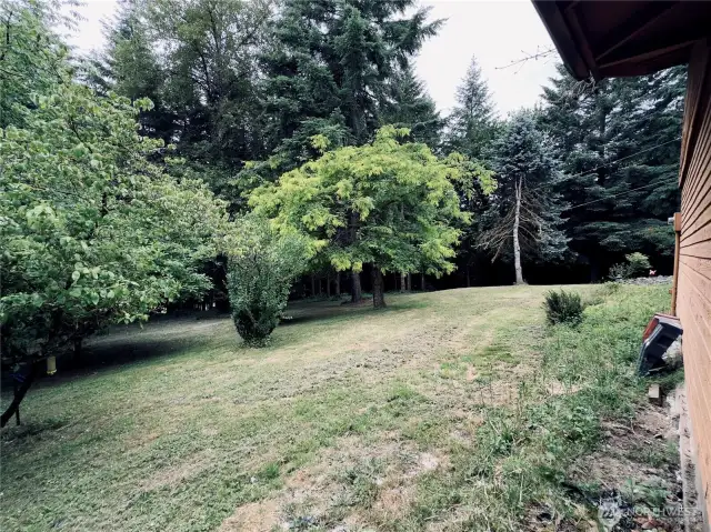 Lawn areas with fruit trees surround the single level home at 818 NW 349th St, La Center WA in Clark County.