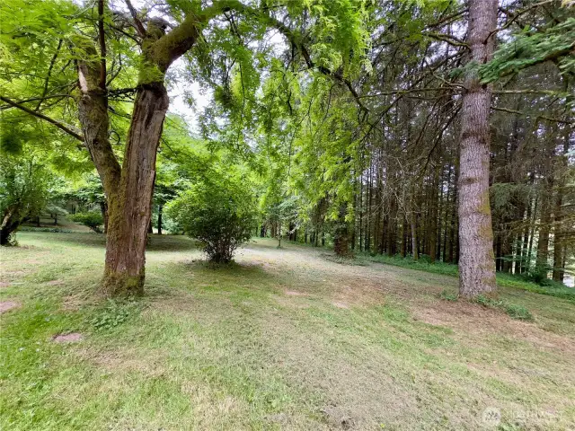 Side yard and view towards driveway of the single level home at 818 NW 349th St, La Center WA in Clark County