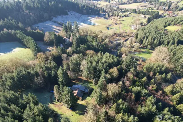 818 NW 349th St, La Center in Clark County WA, 40 acres with a home in timber management, creeks, wildlife, PNW living within minutes to town