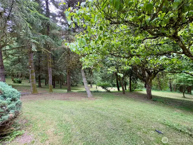 Side yard and view towards patio of the single level home at 818 NW 349th St, La Center WA in Clark County