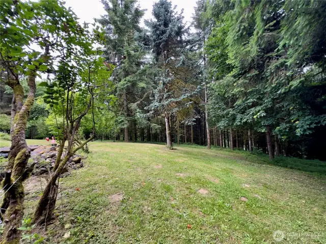 Side yard and view towards patio of the single level home at 818 NW 349th St, La Center WA in Clark County