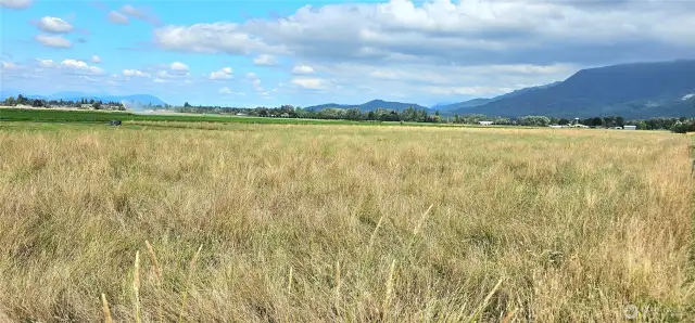 Most of the property is currently used as a large hay field.
