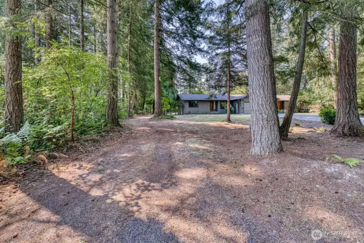 Potential for a driveway to the backyard