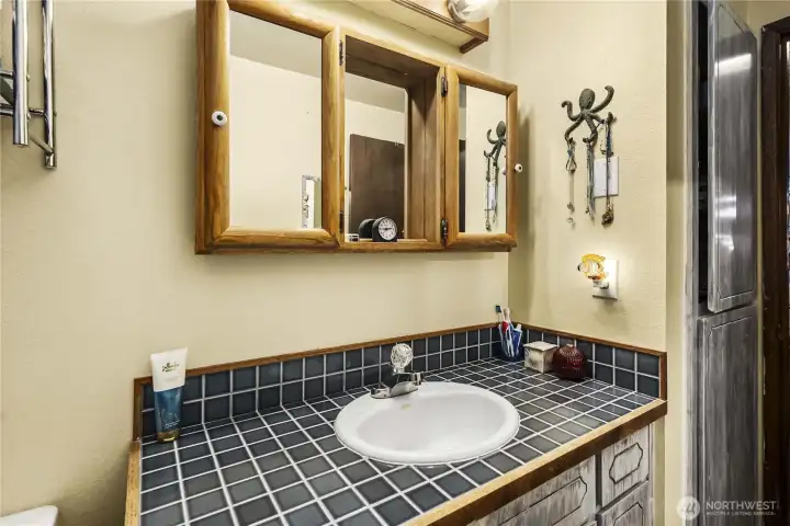 Bathroom has ceiling to floor storage cabinets