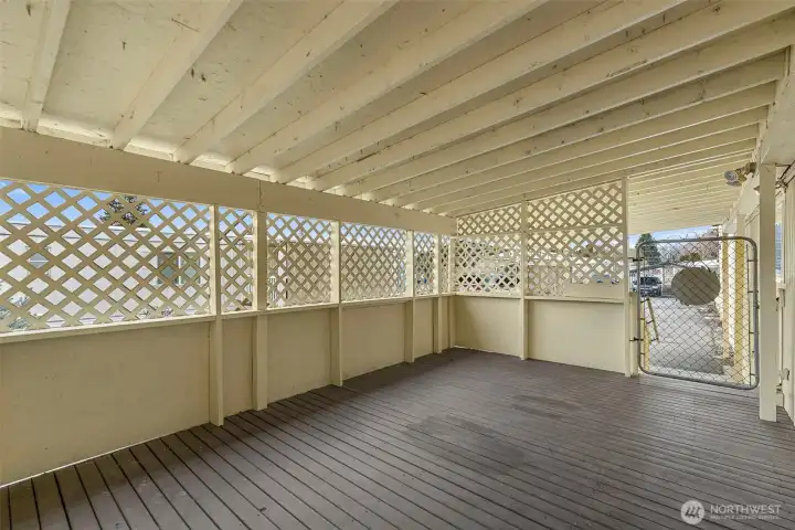 Large covered Patio
