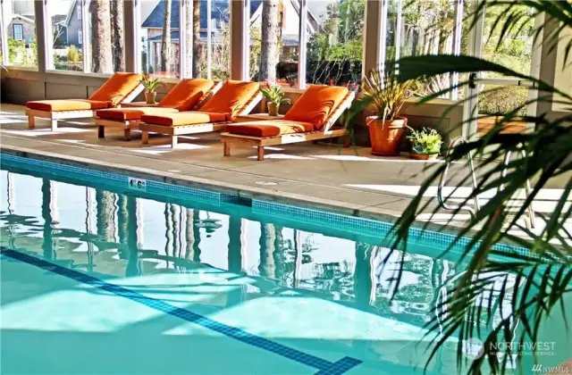 ...swim in one of the two pools!  The indoor pool is about 4 blocks away.