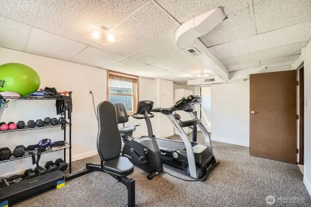 Downstairs Bedroom #2: Used as workout room
