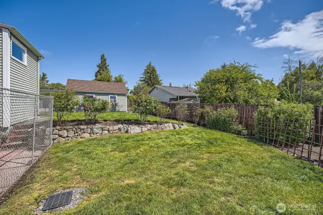 Backyard with Mature Rose Garden