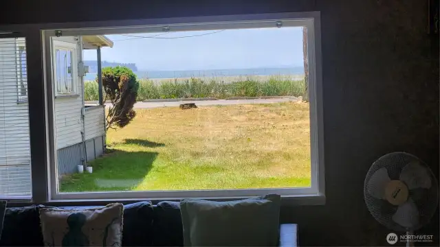 Window view