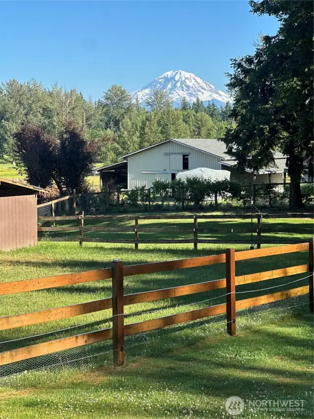 Spectacular views of Mt Rainier