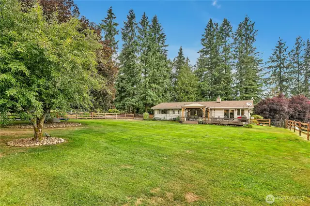 Expansive yard