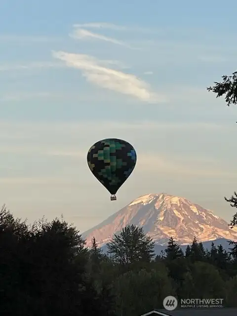 Balloons soaring over the property